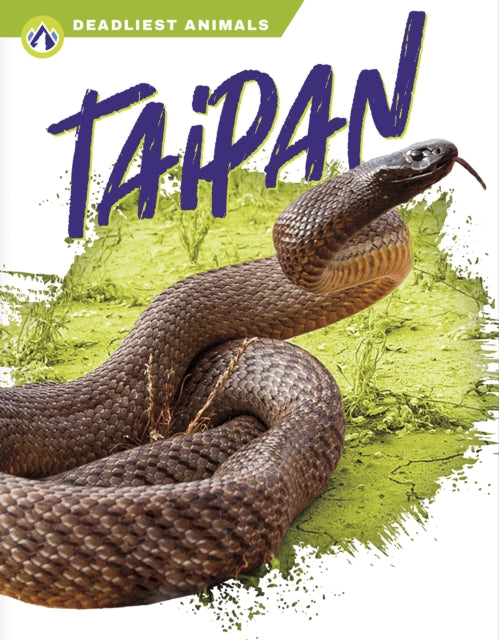 Book cover of: Taipan. By: Rachel Hamby