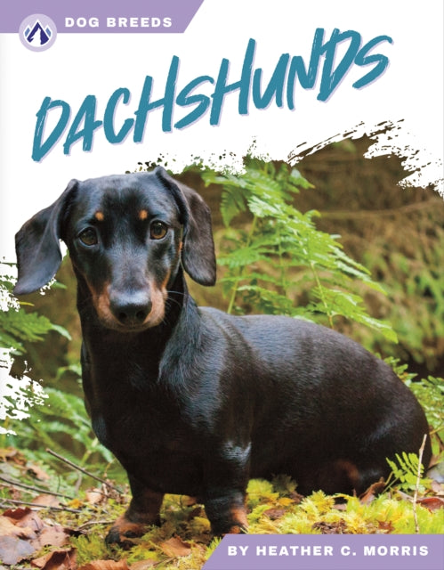 Book cover of: Dachshunds. By: Heather C. Morris