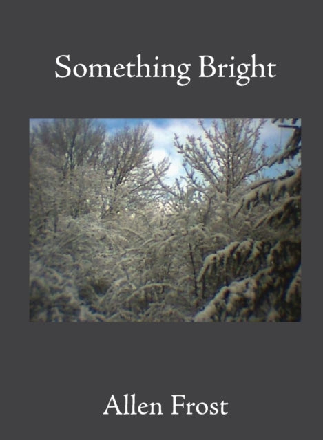 Book cover of: Something Bright. By: Allen Frost