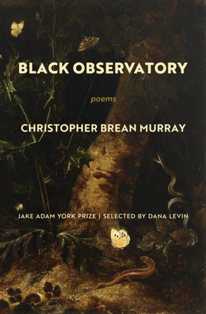 Book cover of: Black Observatory. By: T. K. Tk