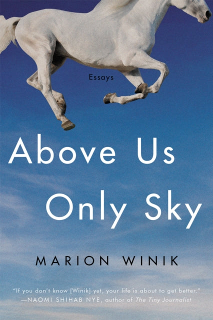 Book cover of: Above Us Only Sky. By: Marion Winik