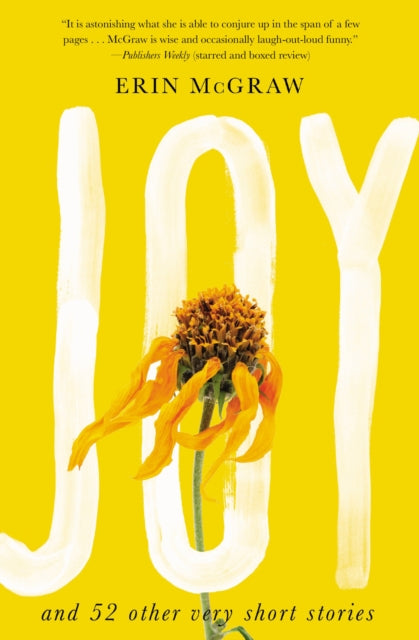 Book cover of: Joy. By: Erin McGraw