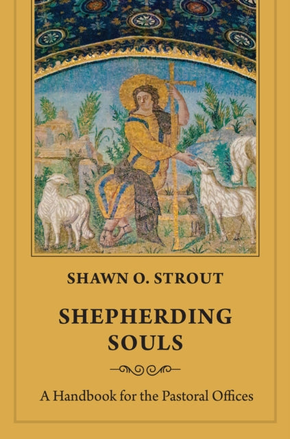Book cover of: Shepherding Souls. By: Shawn O. Strout