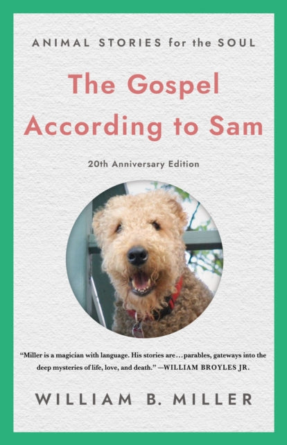 Book cover of: Gospel According to Sam