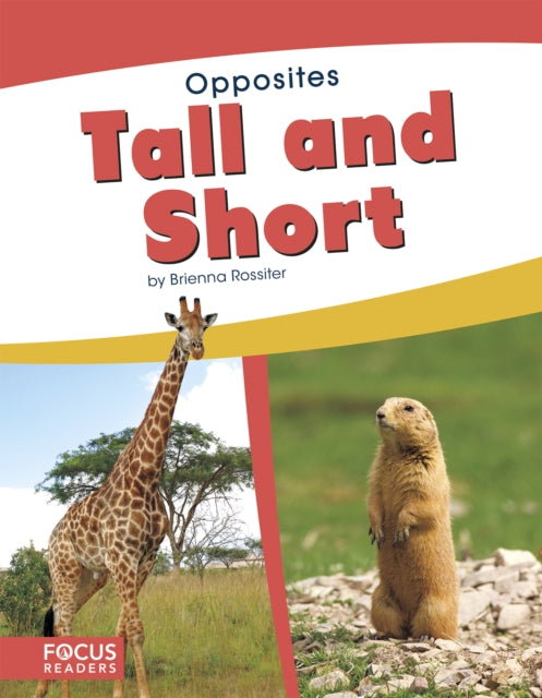 Book cover of: Tall and Short. By: Brienna Rossiter