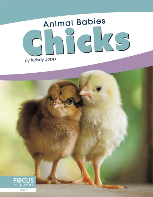 Book cover of: Chicks. By: Kelsey Jopp