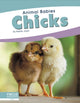 Book cover of: Chicks. By: Kelsey Jopp