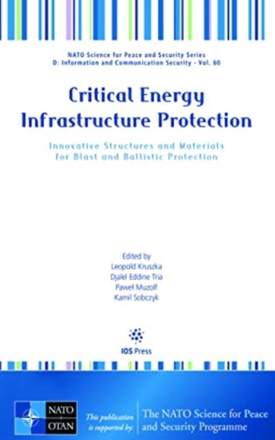 Book cover of: Critical Energy Infrastructure Protection. By: L. Kruszka