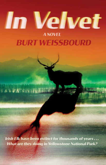 Book cover of: In Velvet
