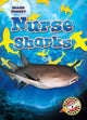 Book cover of: Nurse Sharks. By: Rebecca Pettiford