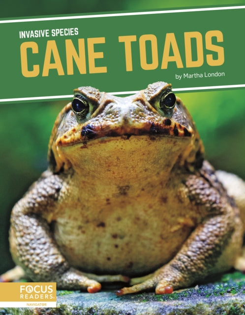 Book cover of: Cane Toads. By: Martha London