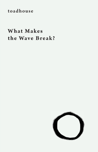 Book cover of: What Makes the Wave Break?