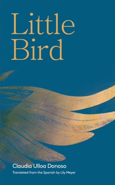 Book cover of: Little Bird. By: Claudia Ulloa Donoso