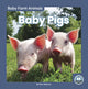 Book cover of: Baby Pigs. By: Nick Rebman