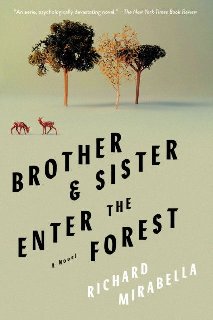 Book cover of: Brother & Sister Enter the Forest. By: Richard Mirabella