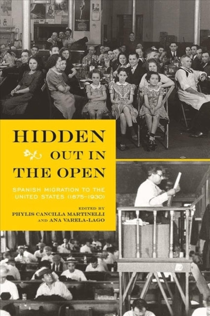 Book cover of: Hidden Out in the Open. By: Phylis Cancilla Martinelli