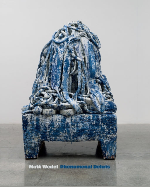 Book cover of: Matt Wedel: Phenomenal Debris
