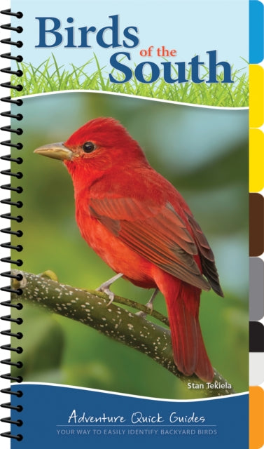 Book cover of: Birds of the South. By: Stan Tekiela