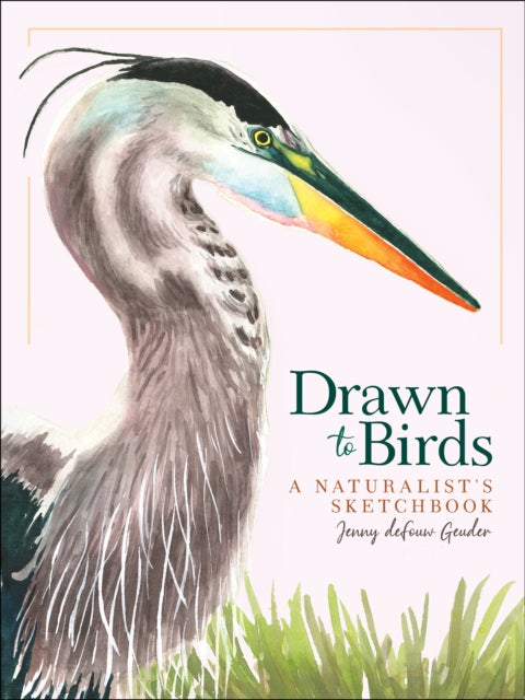 Book cover of: Drawn to Birds. By: Jenny deFouw Geuder