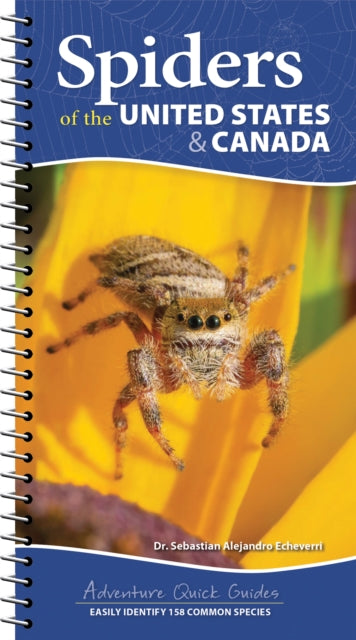 Book cover of: Spiders of the United States. By: Sebastian Alejandro Echeverri