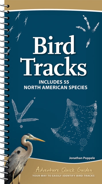 Book cover of: Bird Tracks. By: Jonathan Poppele