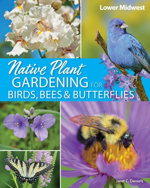 Book cover of: Native Plant Gardening for Birds, Bees & Butterflies: Lower Midwest. By: Jaret C. Daniels