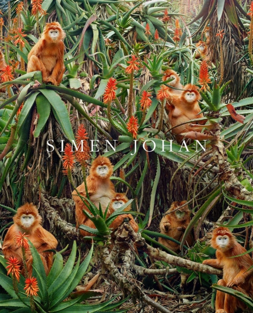 Book cover of: Simen Johan. By: Simen Yohan