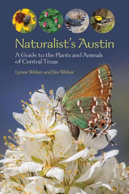 Book cover of: Naturalist's Austin. By: Lynne M. Weber