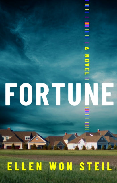 Book cover of: Fortune. By: Ellen Won Steil