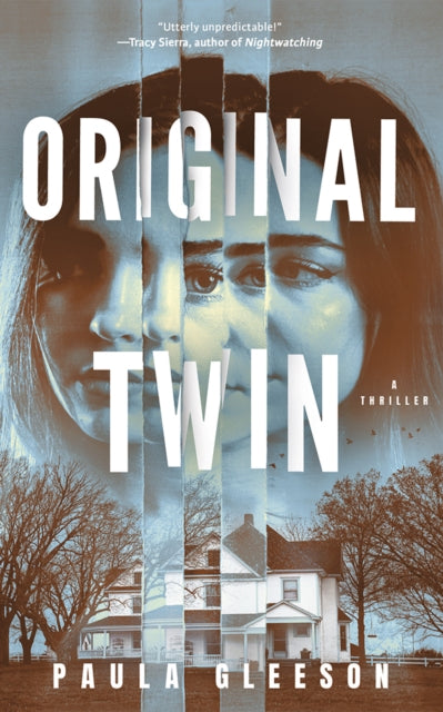 Book cover of: Original Twin. By: Paula Gleeson