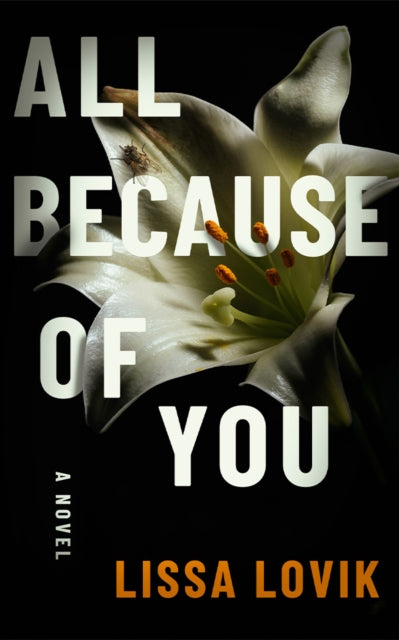 All Because of You, A Novel 9781662530067 Lissa Lovik