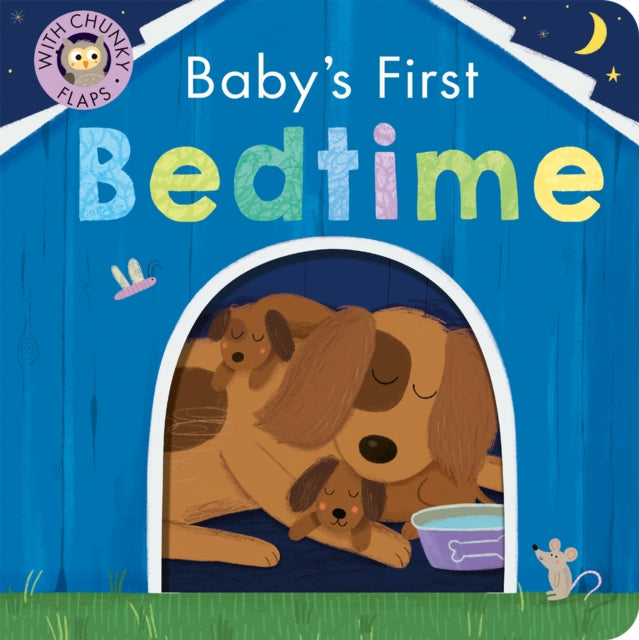 Book cover of: Baby's First Bedtime. By: Danielle McLean