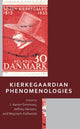 Book cover of: Kierkegaardian Phenomenologies. By: J. Aaron Simmons