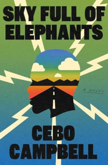 Sky Full of Elephants, A Novel