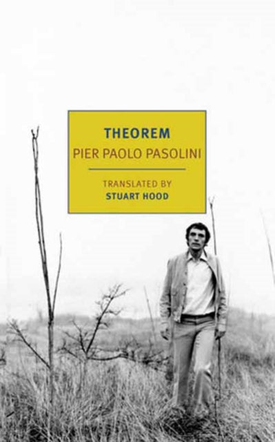 Book cover of: Theorem. By: Pier Paolo Pasolini