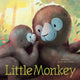 Little Monkey 9781681525655 Julie Abery