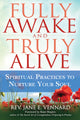 Book cover of: Fully Awake and Truly Alive. By: Jane E. Vennard