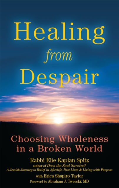 Book cover of: Healing from Despair. By: Elie Kaplan Spitz
