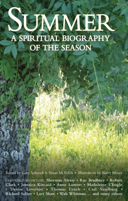 Book cover of: Summer. By: Gary Schmidt