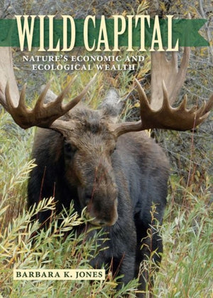 Wild Capital