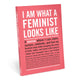 Book cover of: Knock Knock I Am What A Feminist Looks Like Inner-Truth Journal