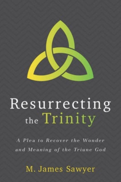 Book cover of: Plea to Recover the Wonder and Meaning of the Tr iune God. By: M. James Sawyer