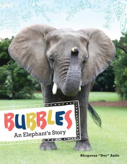 Book cover of: Bubbles. By: Bhagavan Antle