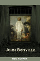 Book cover of: John Banville. By: Neil Murphy