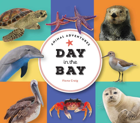 Animal Adventures: Day in the Bay