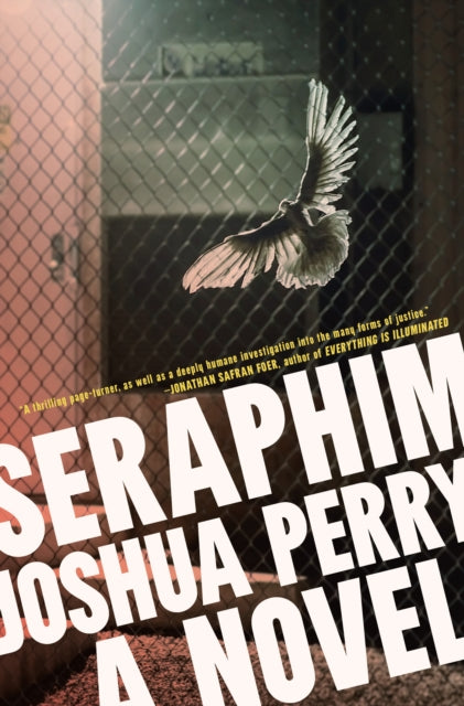Book cover of: Seraphim. By: Joshua Perry
