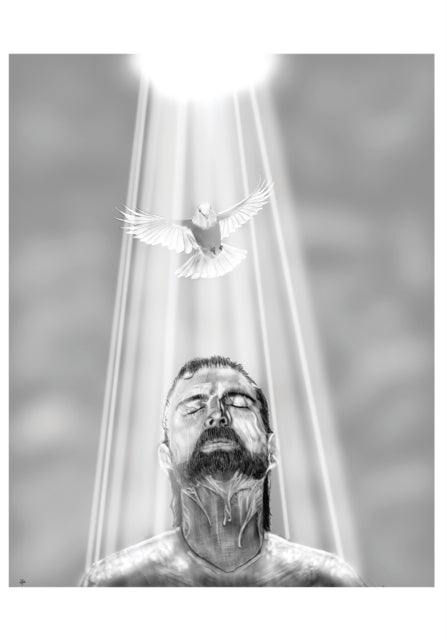 Book cover of: Beloved Son Journal Paperback. By: James H. White