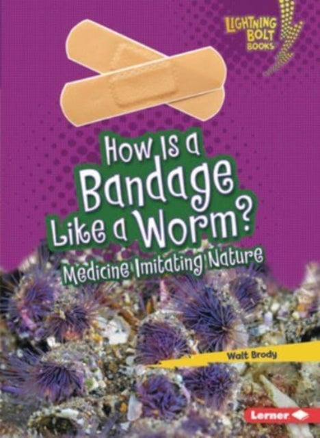 Book cover of: How Is a Bandage Like a Worm?. By: Walt Brody