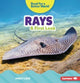 Book cover of: Rays. By: Percy Leed