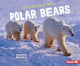 Book cover of: On the Hunt with Polar Bears. By: Sandra Markle